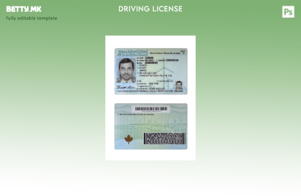 Модерен стил шаблон за возачка дозвола на островот Принц Едвард во Канада